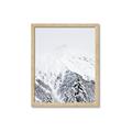 Picture of Snowy Treetops _GroupedProduct_Rectangle_Portrait_Photography _GroupedProduct_Rectangle_Portrait_Framed_Matted_