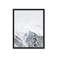 Picture of Snowy Treetops _GroupedProduct_Rectangle_Portrait_Photography _GroupedProduct_Rectangle_Portrait_Framed_Matted_