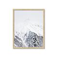 Picture of Snowy Treetops _GroupedProduct_Rectangle_Portrait_Photography _GroupedProduct_Rectangle_Portrait_Framed_Matted_
