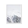 Picture of Snowy Treetops _GroupedProduct_Rectangle_Portrait_Photography _GroupedProduct_Rectangle_Portrait_Framed_Matted_