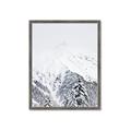 Picture of Snowy Treetops _GroupedProduct_Rectangle_Portrait_Photography _GroupedProduct_Rectangle_Portrait_Framed_Matted_