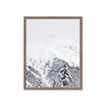 Picture of Snowy Treetops _GroupedProduct_Rectangle_Portrait_Photography _GroupedProduct_Rectangle_Portrait_Framed_Matted_