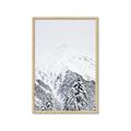 Picture of Snowy Treetops _GroupedProduct_Rectangle_Portrait_Photography _GroupedProduct_Rectangle_Portrait_Framed_Matted_