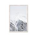 Picture of Snowy Treetops _GroupedProduct_Rectangle_Portrait_Photography _GroupedProduct_Rectangle_Portrait_Framed_Matted_