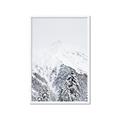 Picture of Snowy Treetops _GroupedProduct_Rectangle_Portrait_Photography _GroupedProduct_Rectangle_Portrait_Framed_Matted_