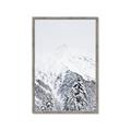 Picture of Snowy Treetops _GroupedProduct_Rectangle_Portrait_Photography _GroupedProduct_Rectangle_Portrait_Framed_Matted_