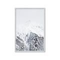 Picture of Snowy Treetops _GroupedProduct_Rectangle_Portrait_Photography _GroupedProduct_Rectangle_Portrait_Framed_Matted_