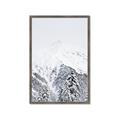 Picture of Snowy Treetops _GroupedProduct_Rectangle_Portrait_Photography _GroupedProduct_Rectangle_Portrait_Framed_Matted_