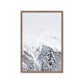 Picture of Snowy Treetops _GroupedProduct_Rectangle_Portrait_Photography _GroupedProduct_Rectangle_Portrait_Framed_Matted_