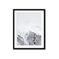 Picture of Snowy Treetops _GroupedProduct_Rectangle_Portrait_Photography _GroupedProduct_Rectangle_Portrait_Framed_Matted_