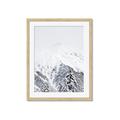 Picture of Snowy Treetops _GroupedProduct_Rectangle_Portrait_Photography _GroupedProduct_Rectangle_Portrait_Framed_Matted_