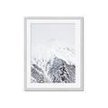 Picture of Snowy Treetops _GroupedProduct_Rectangle_Portrait_Photography _GroupedProduct_Rectangle_Portrait_Framed_Matted_