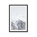 Picture of Snowy Treetops _GroupedProduct_Rectangle_Portrait_Photography _GroupedProduct_Rectangle_Portrait_Framed_Matted_