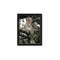Picture of Lurking Cheetah _GroupedProduct_Rectangle_Portrait_Framed_Matted_