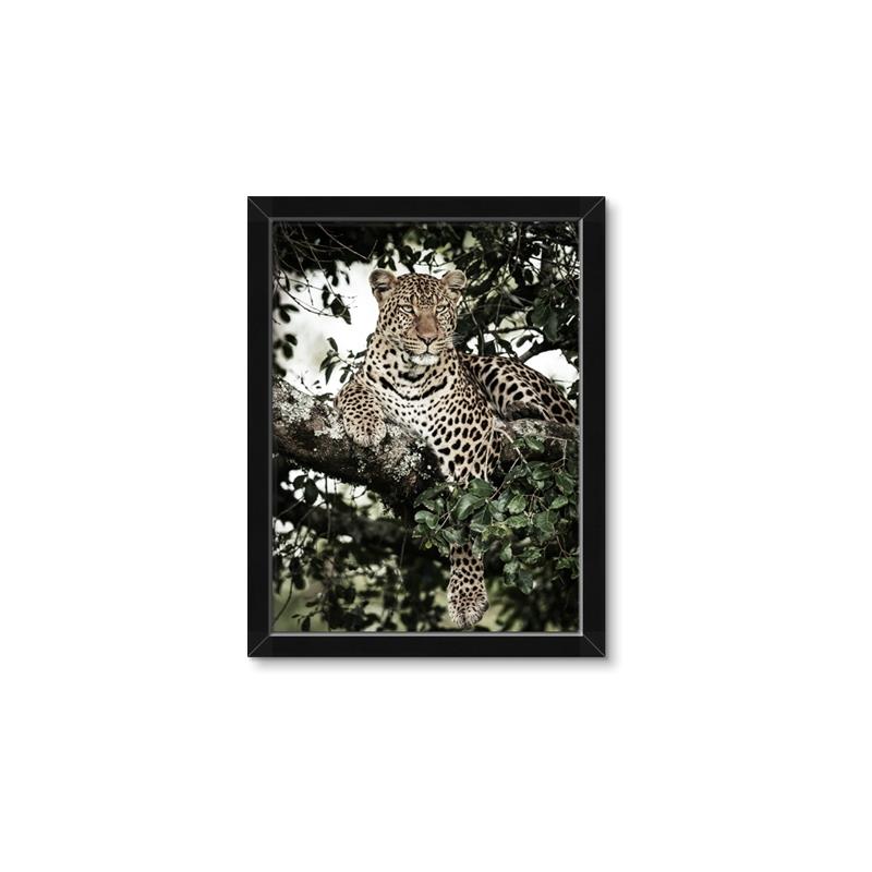 Picture of Lurking Cheetah _GroupedProduct_Rectangle_Portrait_Framed_Matted_