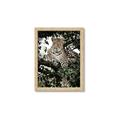 Picture of Lurking Cheetah _GroupedProduct_Rectangle_Portrait_Framed_Matted_