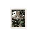 Picture of Lurking Cheetah _GroupedProduct_Rectangle_Portrait_Framed_Matted_