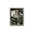 Picture of Lurking Cheetah _GroupedProduct_Rectangle_Portrait_Framed_Matted_