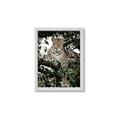 Picture of Lurking Cheetah _GroupedProduct_Rectangle_Portrait_Framed_Matted_