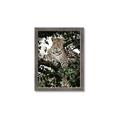 Picture of Lurking Cheetah _GroupedProduct_Rectangle_Portrait_Framed_Matted_