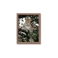 Picture of Lurking Cheetah _GroupedProduct_Rectangle_Portrait_Framed_Matted_