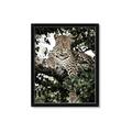 Picture of Lurking Cheetah _GroupedProduct_Rectangle_Portrait_Framed_Matted_