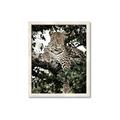 Picture of Lurking Cheetah _GroupedProduct_Rectangle_Portrait_Framed_Matted_
