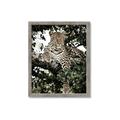 Picture of Lurking Cheetah _GroupedProduct_Rectangle_Portrait_Framed_Matted_