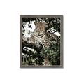 Picture of Lurking Cheetah _GroupedProduct_Rectangle_Portrait_Framed_Matted_