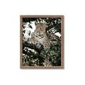 Picture of Lurking Cheetah _GroupedProduct_Rectangle_Portrait_Framed_Matted_