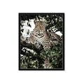 Picture of Lurking Cheetah _GroupedProduct_Rectangle_Portrait_Framed_Matted_