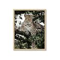 Picture of Lurking Cheetah _GroupedProduct_Rectangle_Portrait_Framed_Matted_