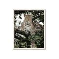 Picture of Lurking Cheetah _GroupedProduct_Rectangle_Portrait_Framed_Matted_