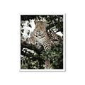 Picture of Lurking Cheetah _GroupedProduct_Rectangle_Portrait_Framed_Matted_