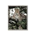 Picture of Lurking Cheetah _GroupedProduct_Rectangle_Portrait_Framed_Matted_