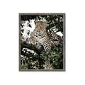Picture of Lurking Cheetah _GroupedProduct_Rectangle_Portrait_Framed_Matted_