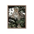 Picture of Lurking Cheetah _GroupedProduct_Rectangle_Portrait_Framed_Matted_