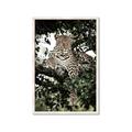 Picture of Lurking Cheetah _GroupedProduct_Rectangle_Portrait_Framed_Matted_