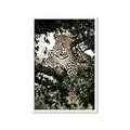 Picture of Lurking Cheetah _GroupedProduct_Rectangle_Portrait_Framed_Matted_
