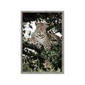 Picture of Lurking Cheetah _GroupedProduct_Rectangle_Portrait_Framed_Matted_
