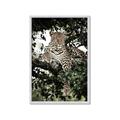 Picture of Lurking Cheetah _GroupedProduct_Rectangle_Portrait_Framed_Matted_