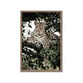 Picture of Lurking Cheetah _GroupedProduct_Rectangle_Portrait_Framed_Matted_