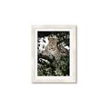 Picture of Lurking Cheetah _GroupedProduct_Rectangle_Portrait_Framed_Matted_
