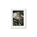 Picture of Lurking Cheetah _GroupedProduct_Rectangle_Portrait_Framed_Matted_