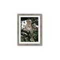 Picture of Lurking Cheetah _GroupedProduct_Rectangle_Portrait_Framed_Matted_