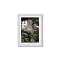 Picture of Lurking Cheetah _GroupedProduct_Rectangle_Portrait_Framed_Matted_