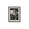 Picture of Lurking Cheetah _GroupedProduct_Rectangle_Portrait_Framed_Matted_