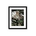 Picture of Lurking Cheetah _GroupedProduct_Rectangle_Portrait_Framed_Matted_