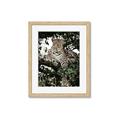 Picture of Lurking Cheetah _GroupedProduct_Rectangle_Portrait_Framed_Matted_