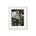 Picture of Lurking Cheetah _GroupedProduct_Rectangle_Portrait_Framed_Matted_